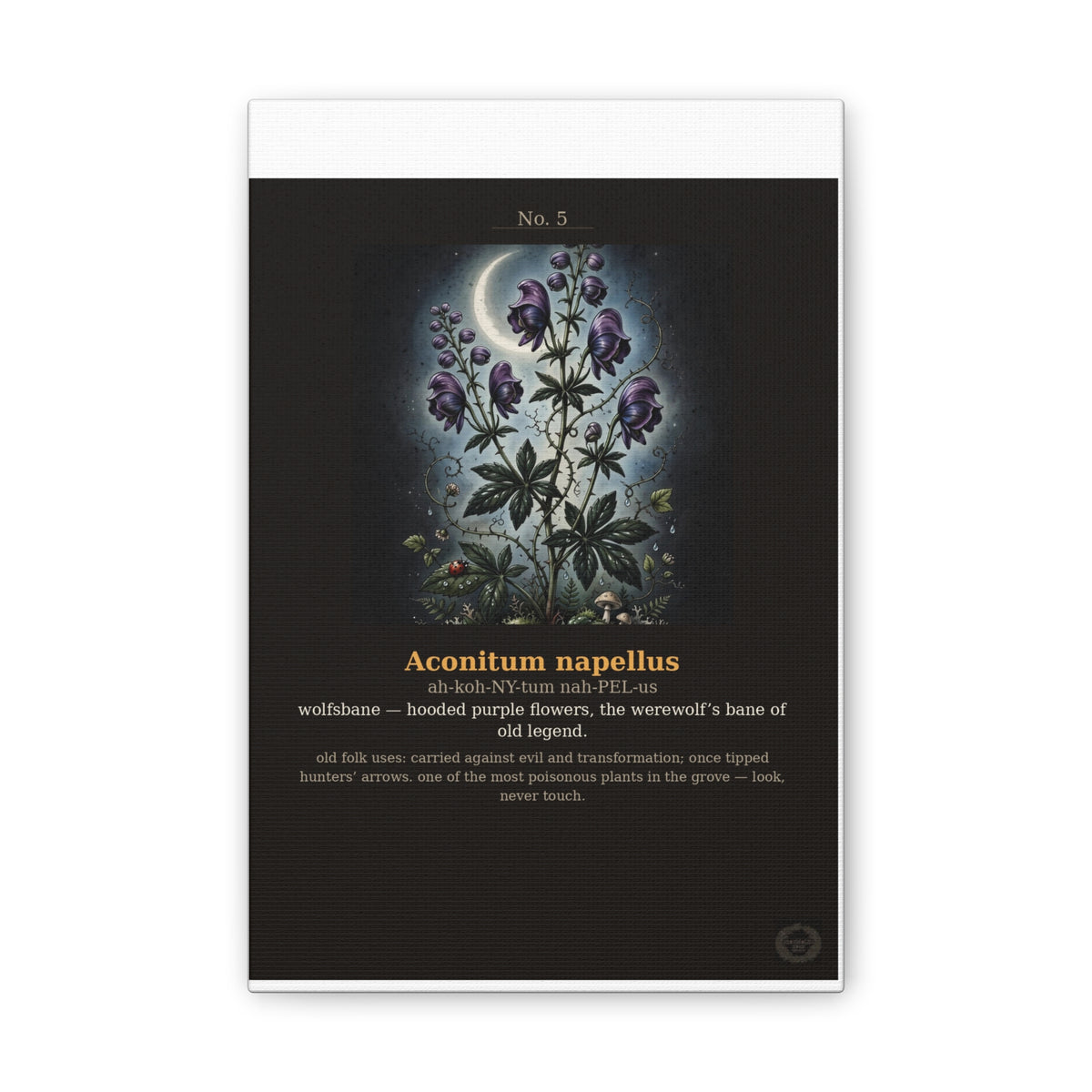 Apothecary of Thorns Canvas - Wolfsbane No. 5 - product photo 2