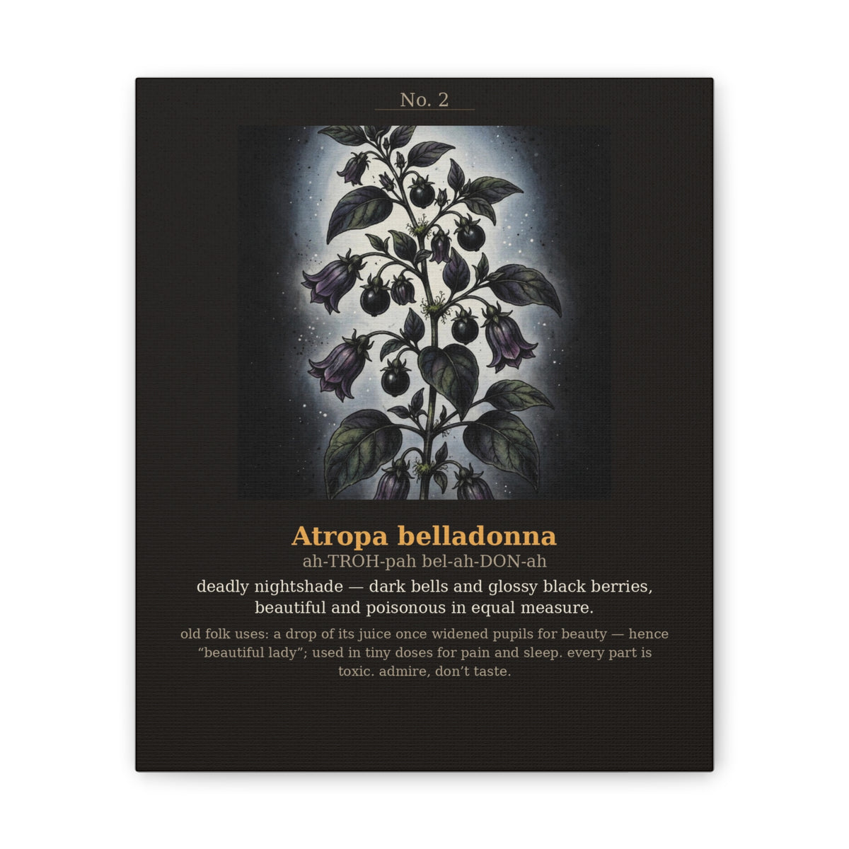 Apothecary of Thorns Canvas - Nightshade No. 2 - product photo 4