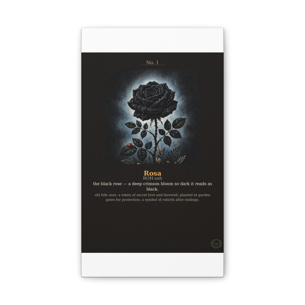 Apothecary of Thorns Canvas - Black Rose No. 1 - product photo 3