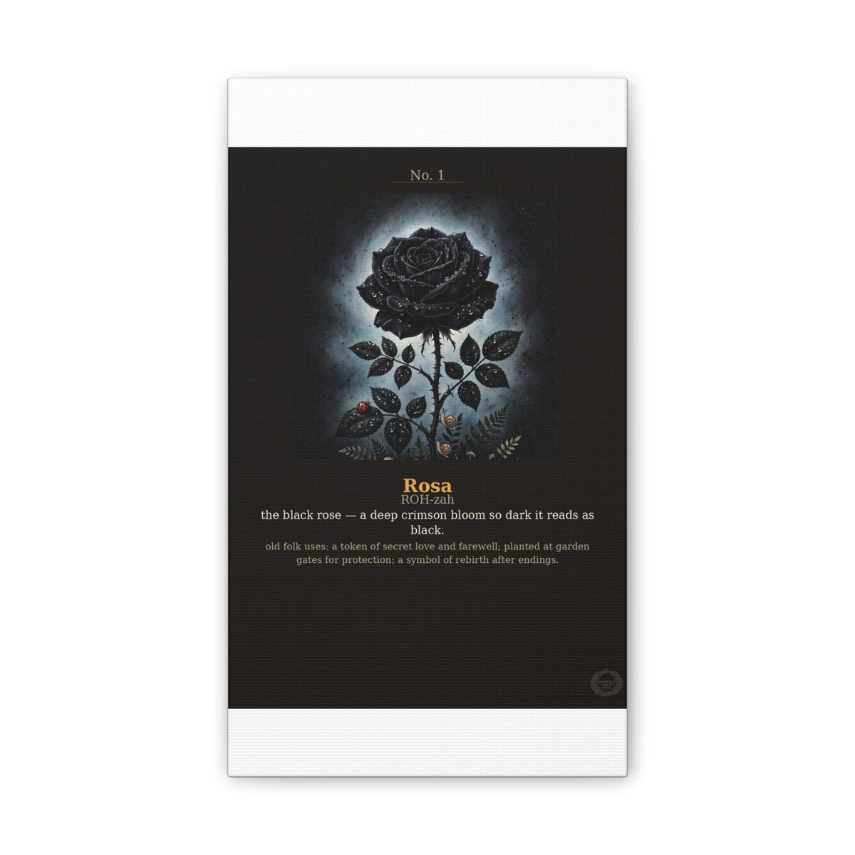 Apothecary of Thorns Canvas - Black Rose No. 1 - product photo 3