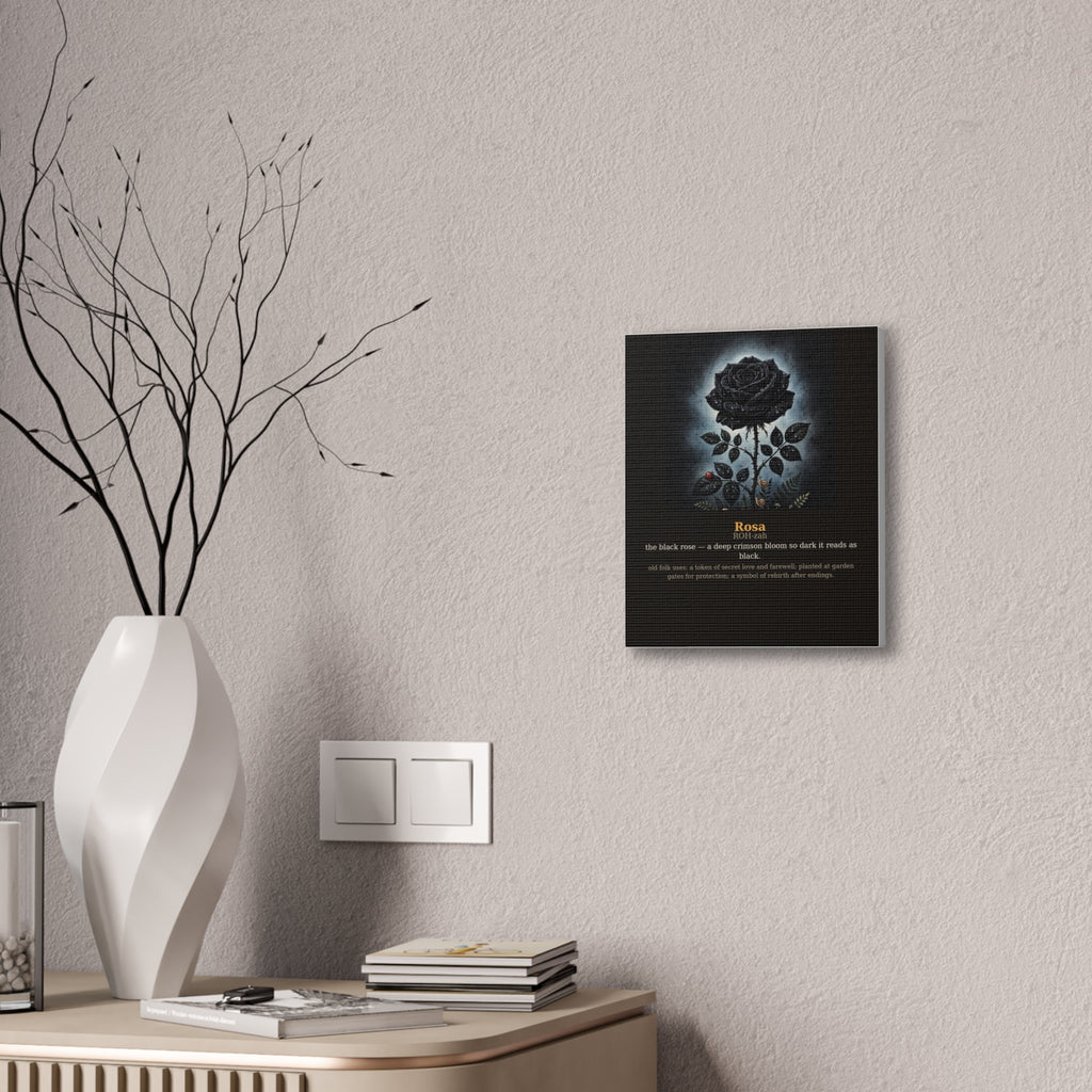 Apothecary of Thorns Canvas - Black Rose No. 1