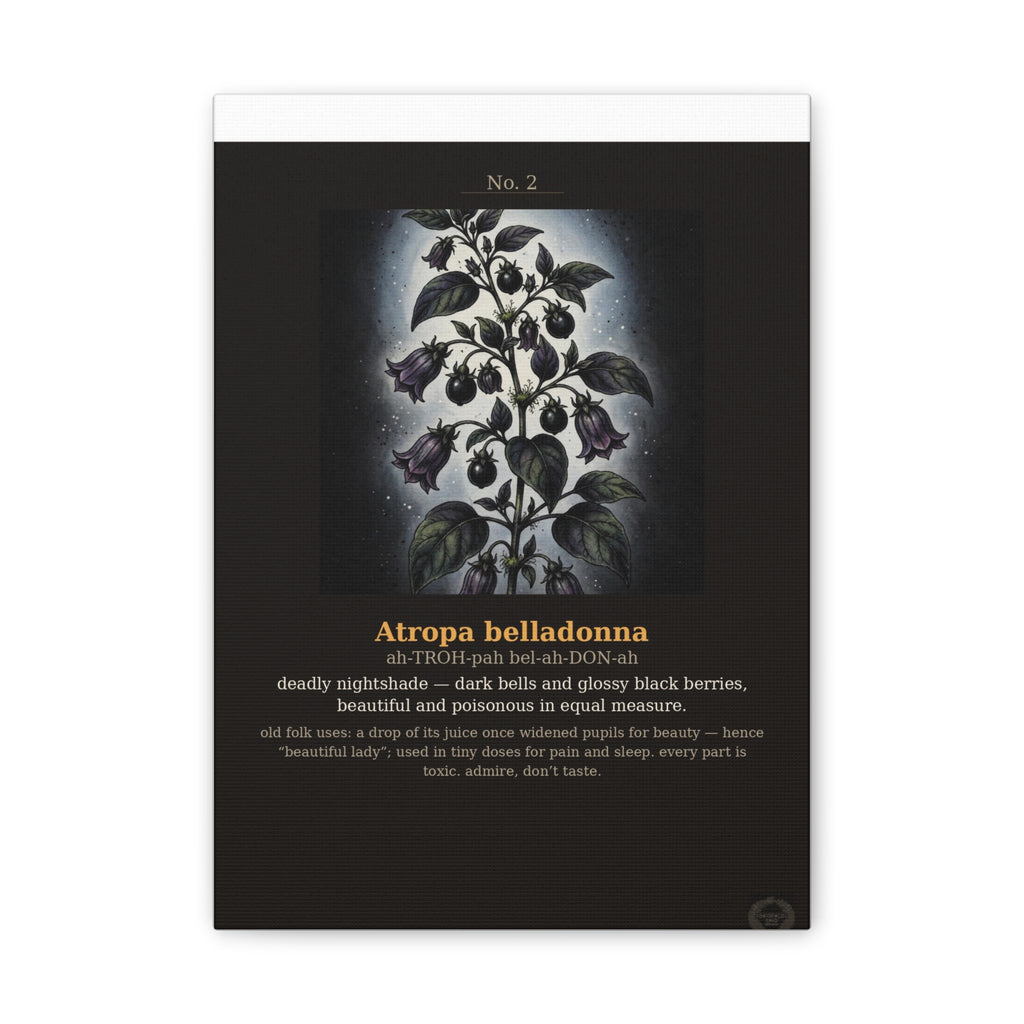 Apothecary of Thorns Canvas - Nightshade No. 2 - product photo 5