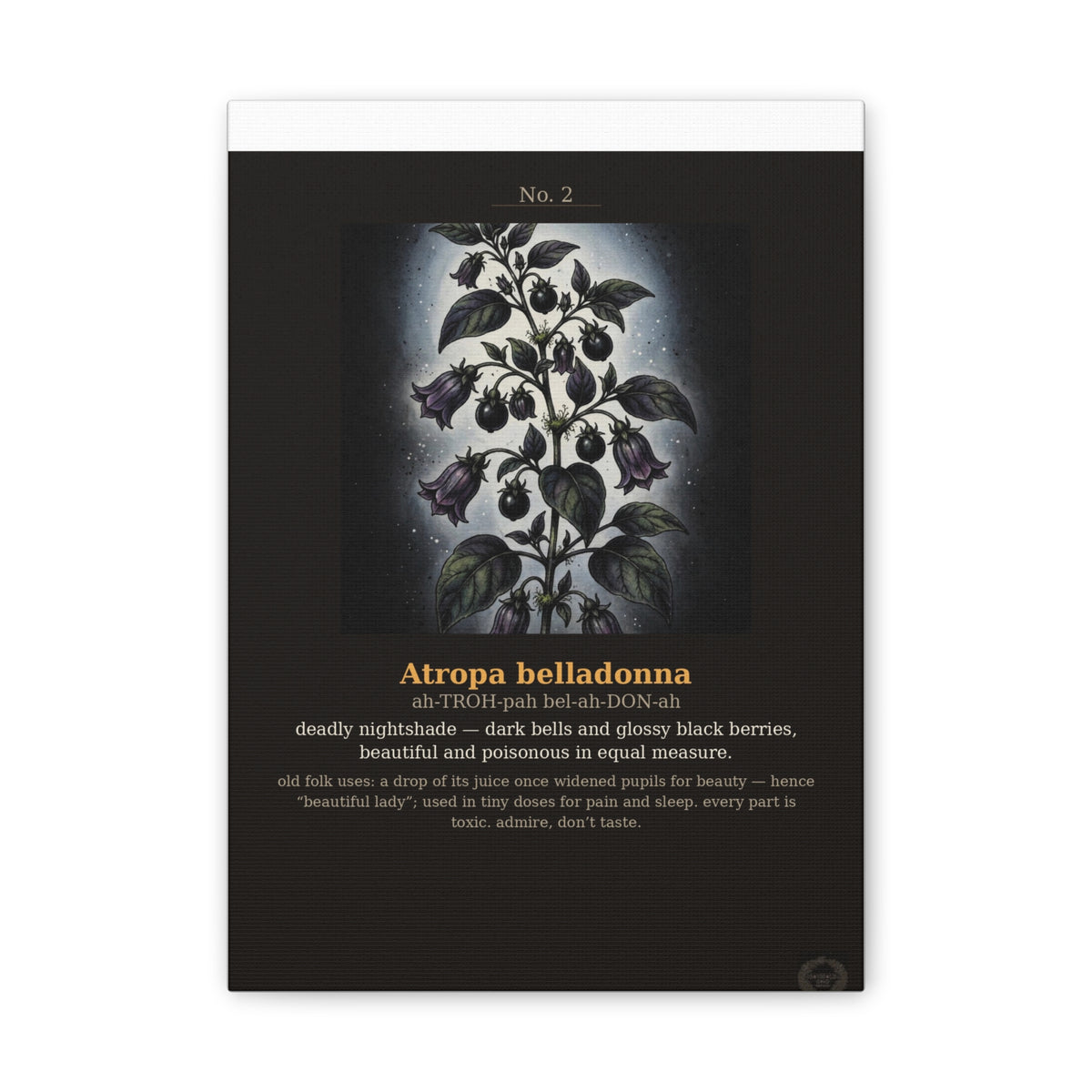 Apothecary of Thorns Canvas - Nightshade No. 2 - product photo 5