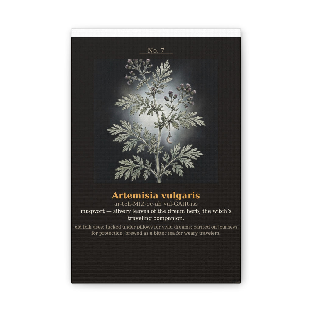 Apothecary of Thorns Canvas - Mugwort No. 7 - product photo 2