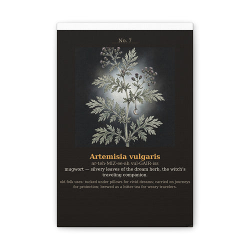 Apothecary of Thorns Canvas - Mugwort No. 7 - product photo 2