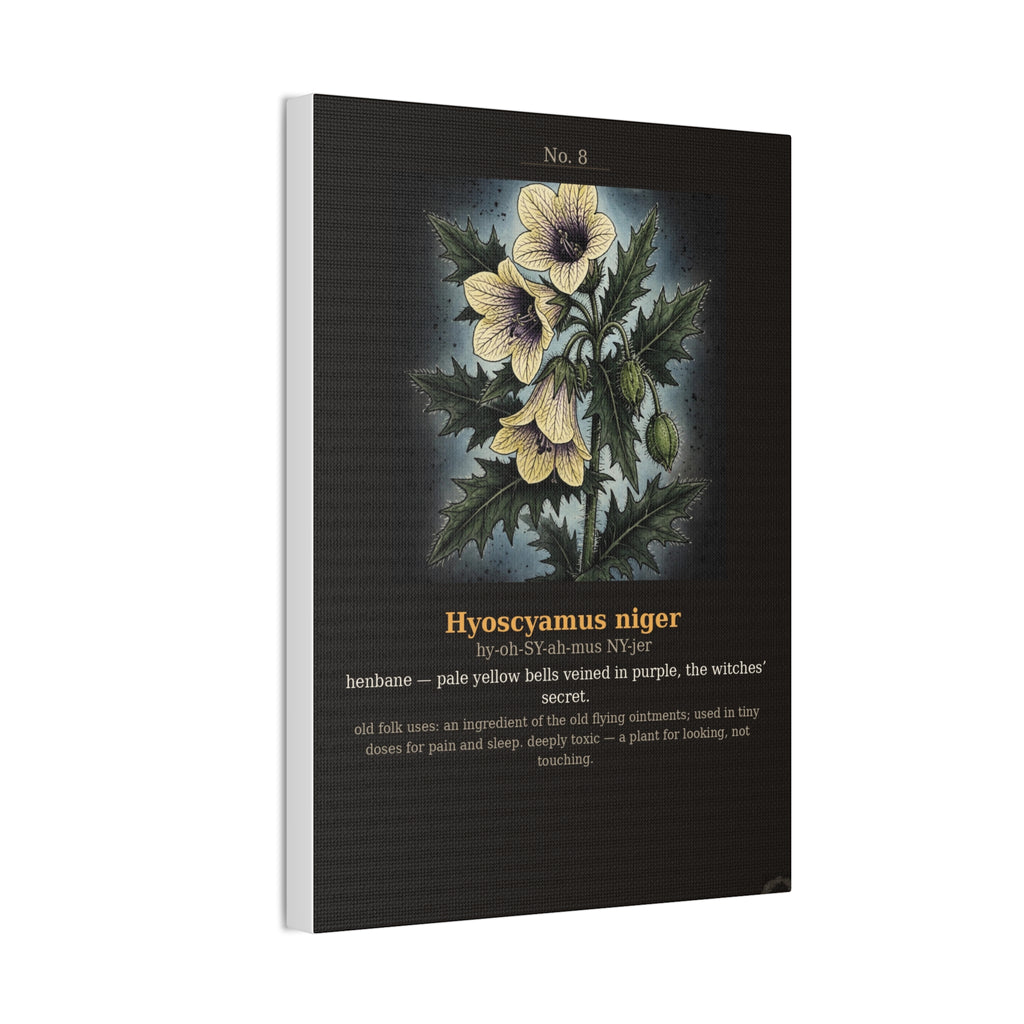 Apothecary of Thorns Canvas - Henbane No. 8
