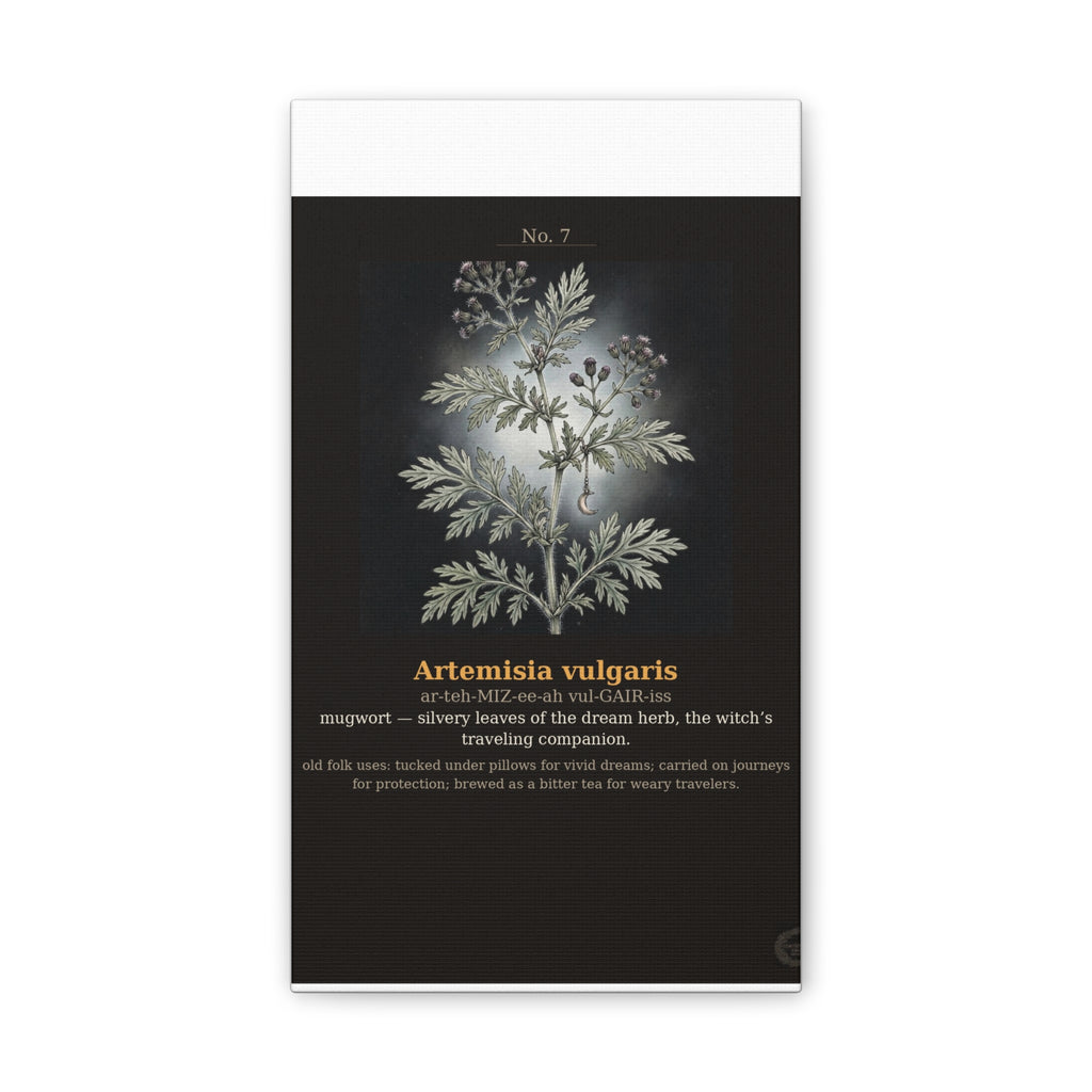 Apothecary of Thorns Canvas - Mugwort No. 7 - product photo 3
