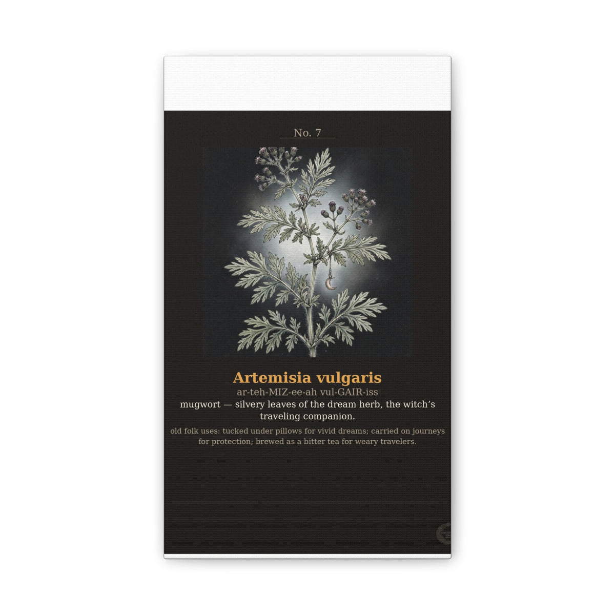 Apothecary of Thorns Canvas - Mugwort No. 7 - product photo 3
