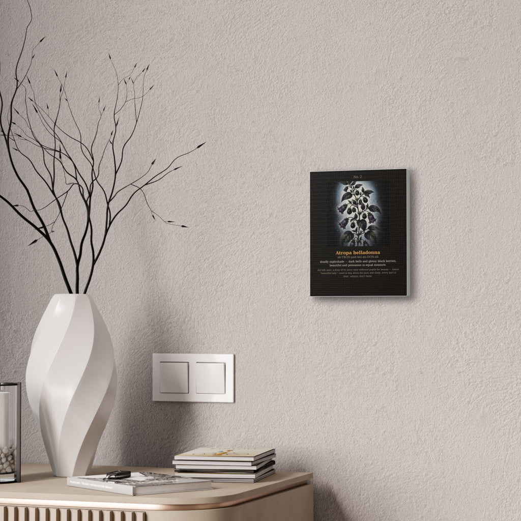 Apothecary of Thorns Canvas - Nightshade No. 2 - product photo 8