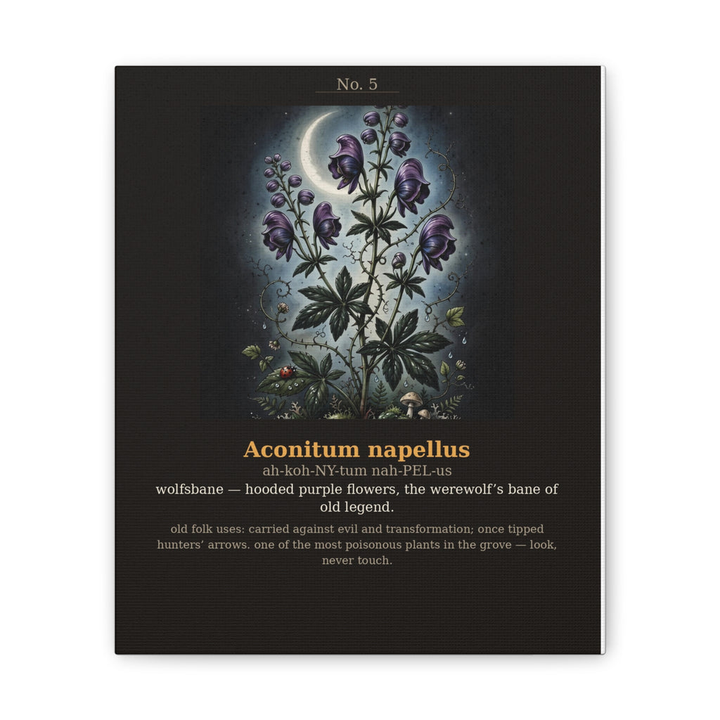 Apothecary of Thorns Canvas - Wolfsbane No. 5 - product photo 4