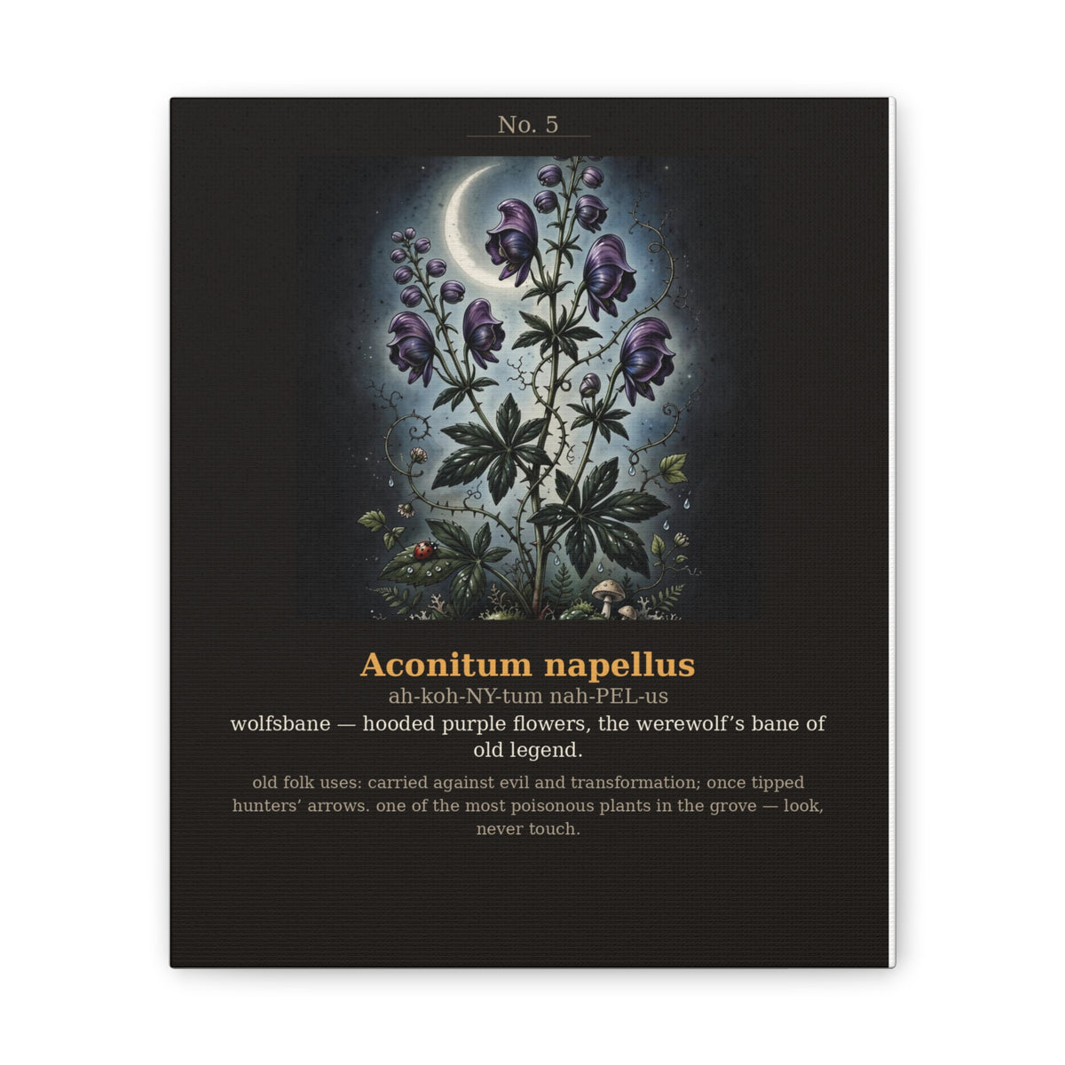 Apothecary of Thorns Canvas - Wolfsbane No. 5 - product photo 4