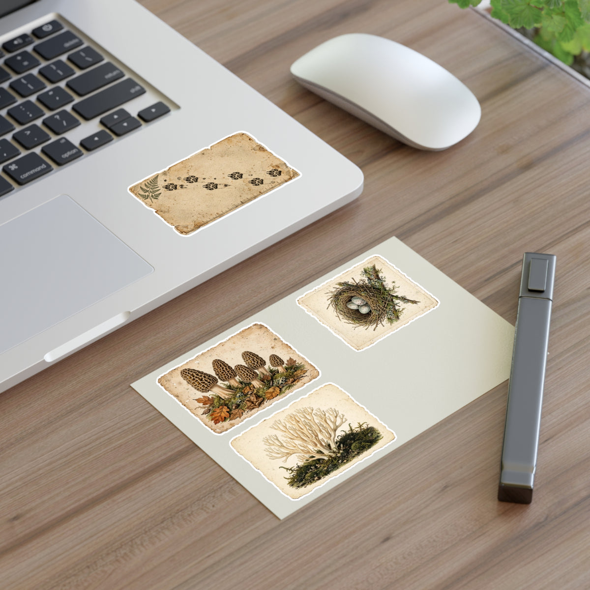 Vintage Field Guide Sticker Sheets - product photo 5