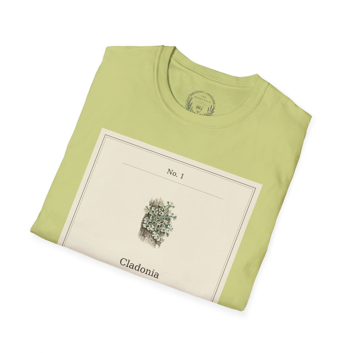 The Herbanium Tee - January Lichen