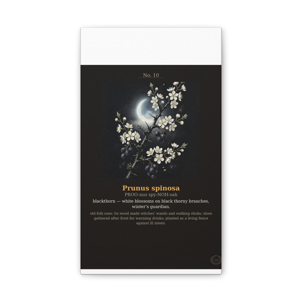 Apothecary of Thorns Canvas - Blackthorn No. 10 - product photo 3