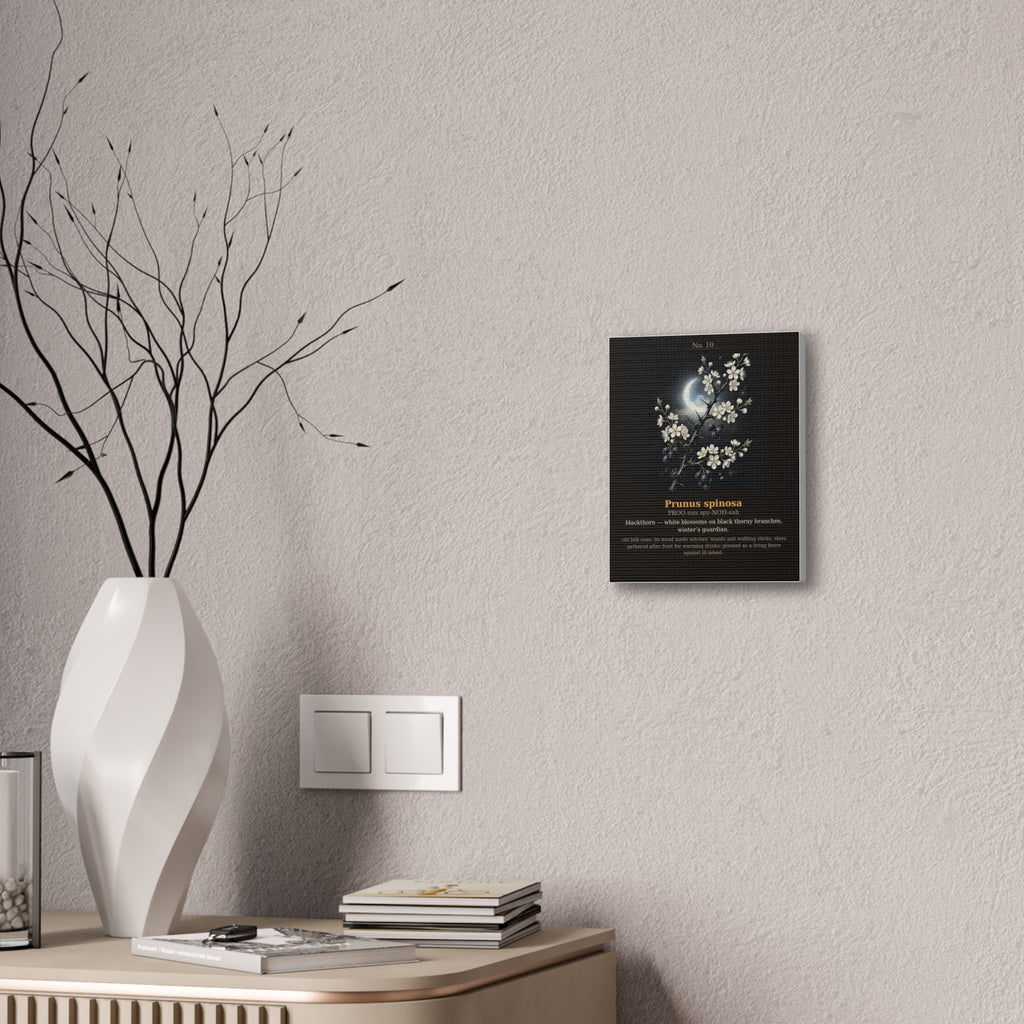 Apothecary of Thorns Canvas - Blackthorn No. 10 - product photo 8