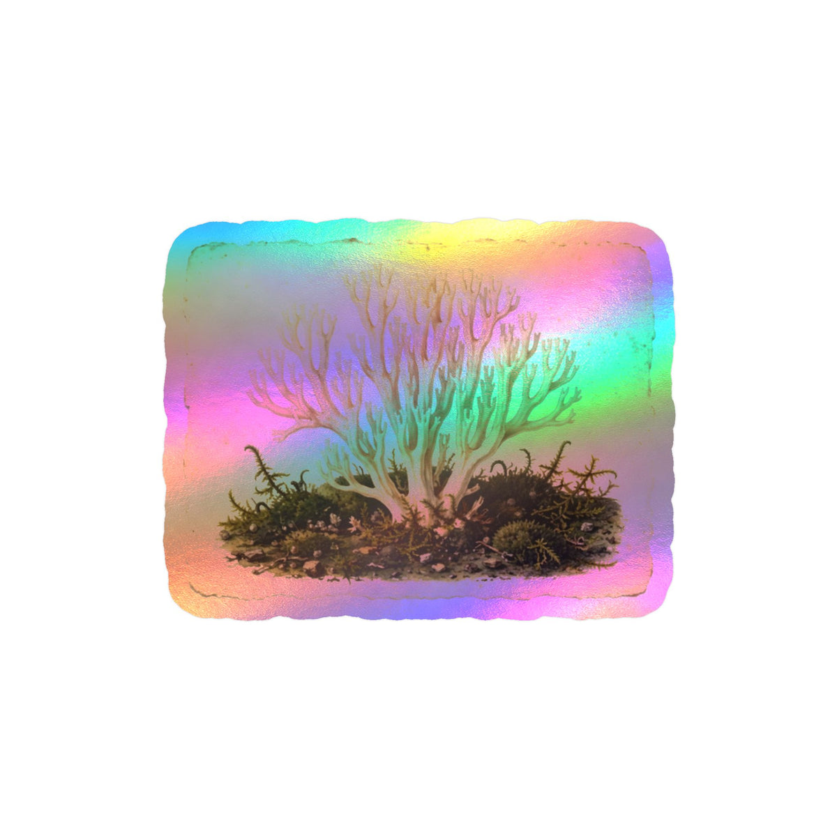 Apothecary of Thorns Herbanium Sticker - product photo 4