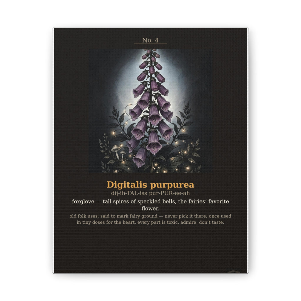 Apothecary of Thorns Canvas - Foxglove No. 4 - dark botanical illustration art print on canvas