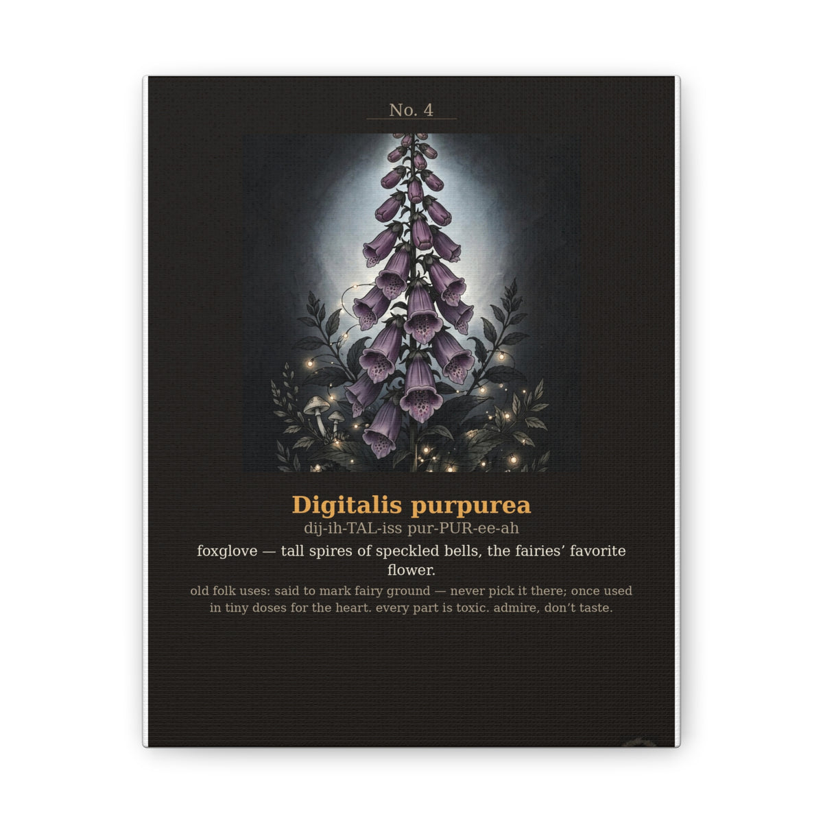 Apothecary of Thorns Canvas - Foxglove No. 4 - dark botanical illustration art print on canvas