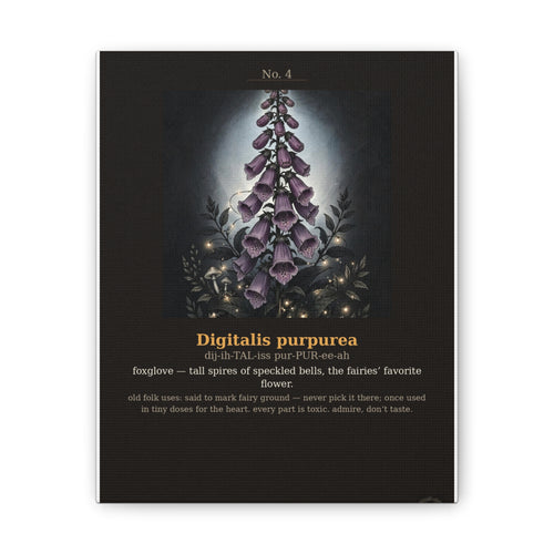 Apothecary of Thorns Canvas - Foxglove No. 4 - dark botanical illustration art print on canvas