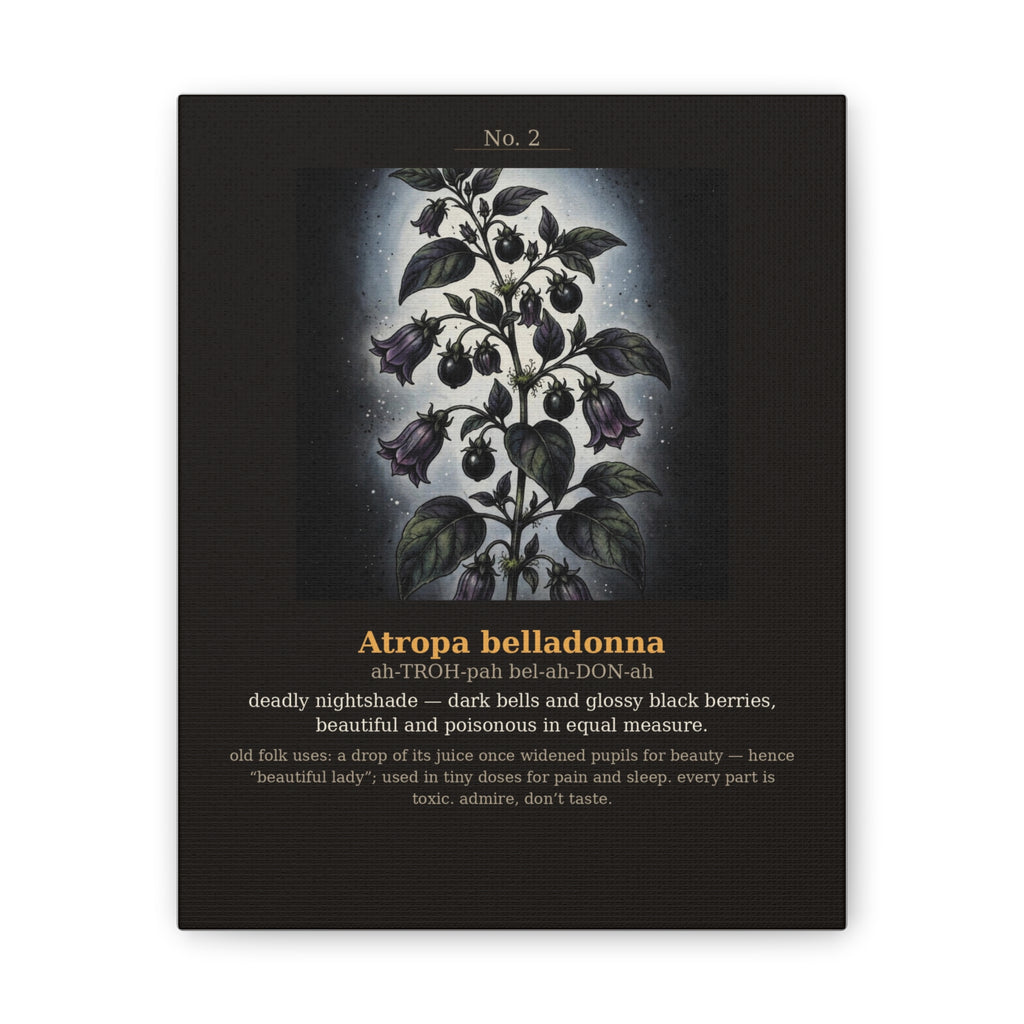 Apothecary of Thorns Canvas - Nightshade No. 2 - dark botanical illustration art print on canvas