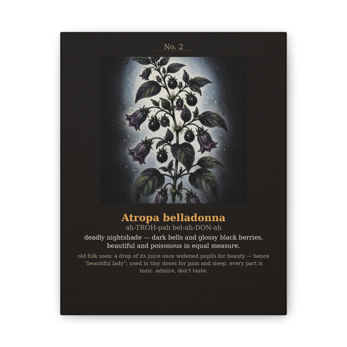 Apothecary of Thorns Canvas - Nightshade No. 2 - dark botanical illustration art print on canvas