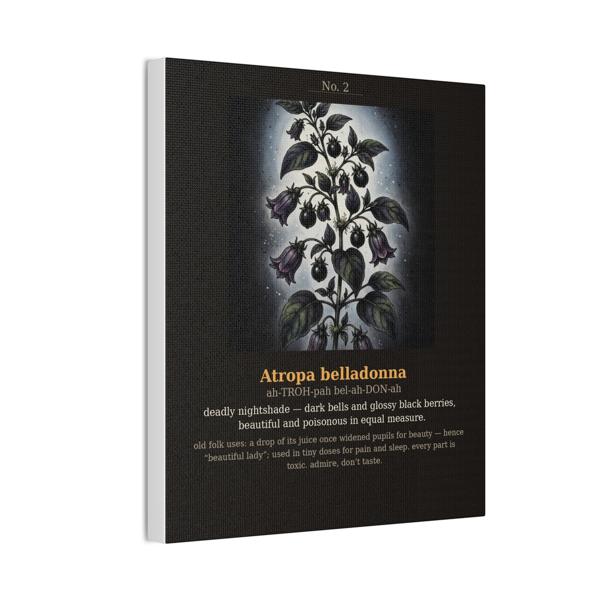 Apothecary of Thorns Canvas - Nightshade No. 2