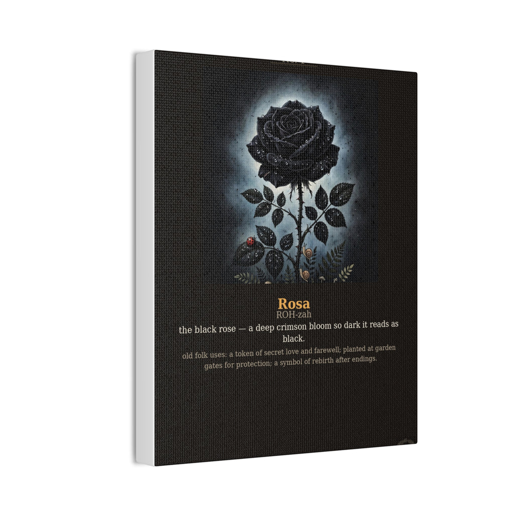 Apothecary of Thorns Canvas - Black Rose No. 1 - product photo 6