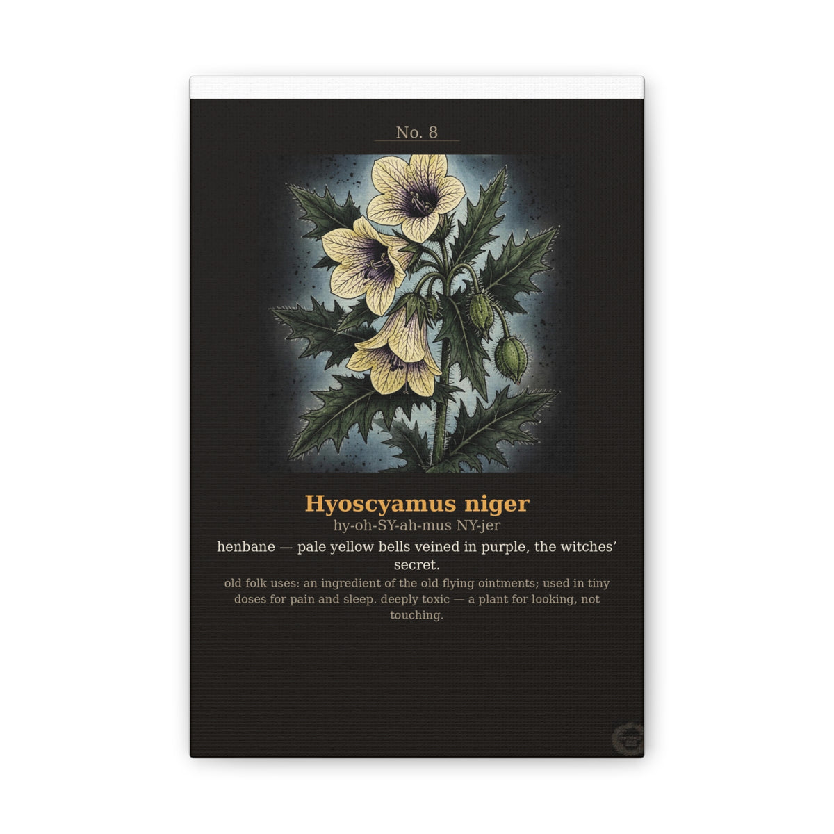 Apothecary of Thorns Canvas - Henbane No. 8 - product photo 2