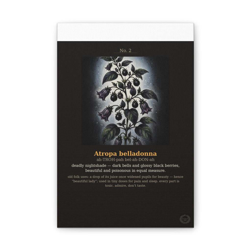 Apothecary of Thorns Canvas - Nightshade No. 2 - product photo 2