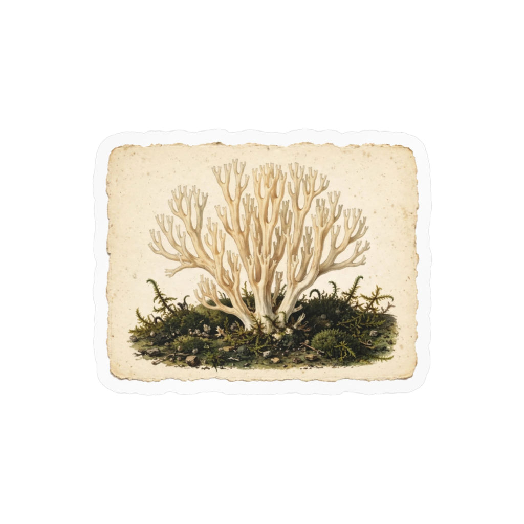 Apothecary of Thorns Herbanium Sticker - illustrated vinyl sticker
