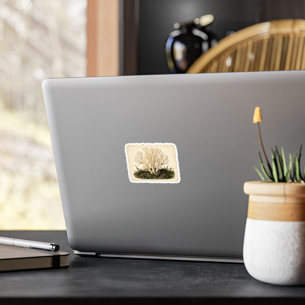 Apothecary of Thorns Herbanium Sticker - product photo 7