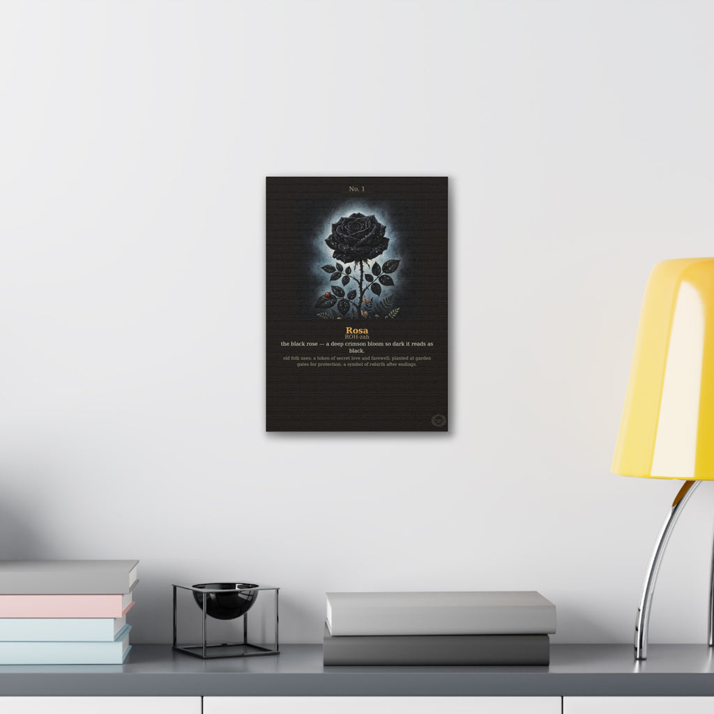 Apothecary of Thorns Canvas - Black Rose No. 1