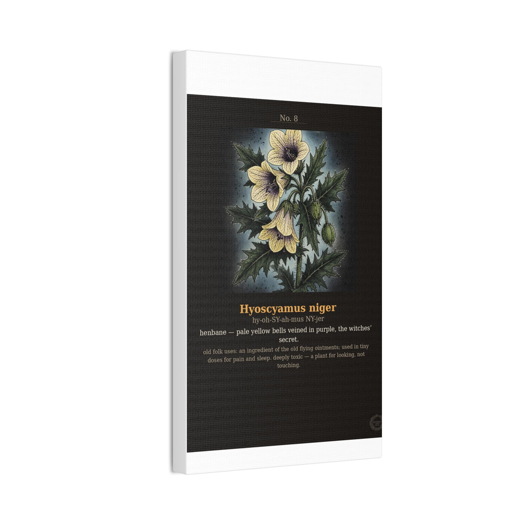 Apothecary of Thorns Canvas - Henbane No. 8