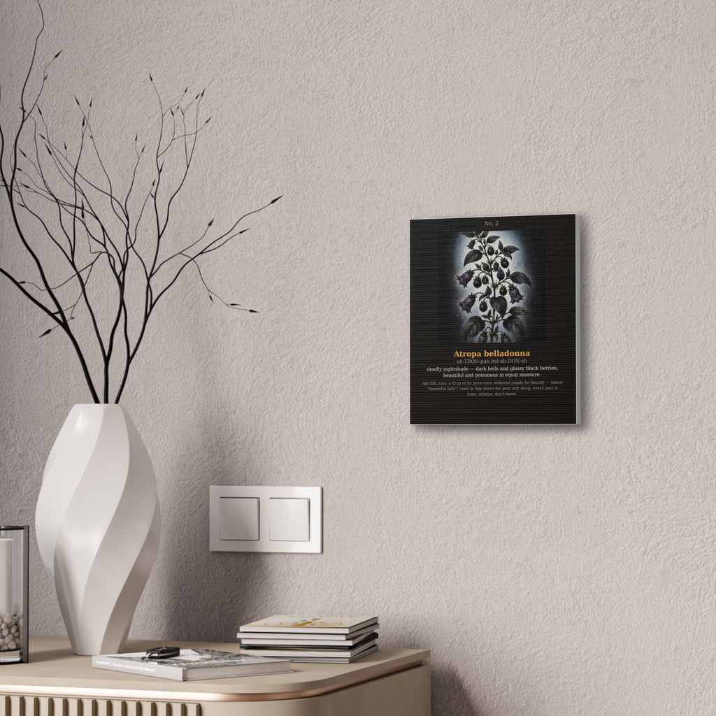 Apothecary of Thorns Canvas - Nightshade No. 2