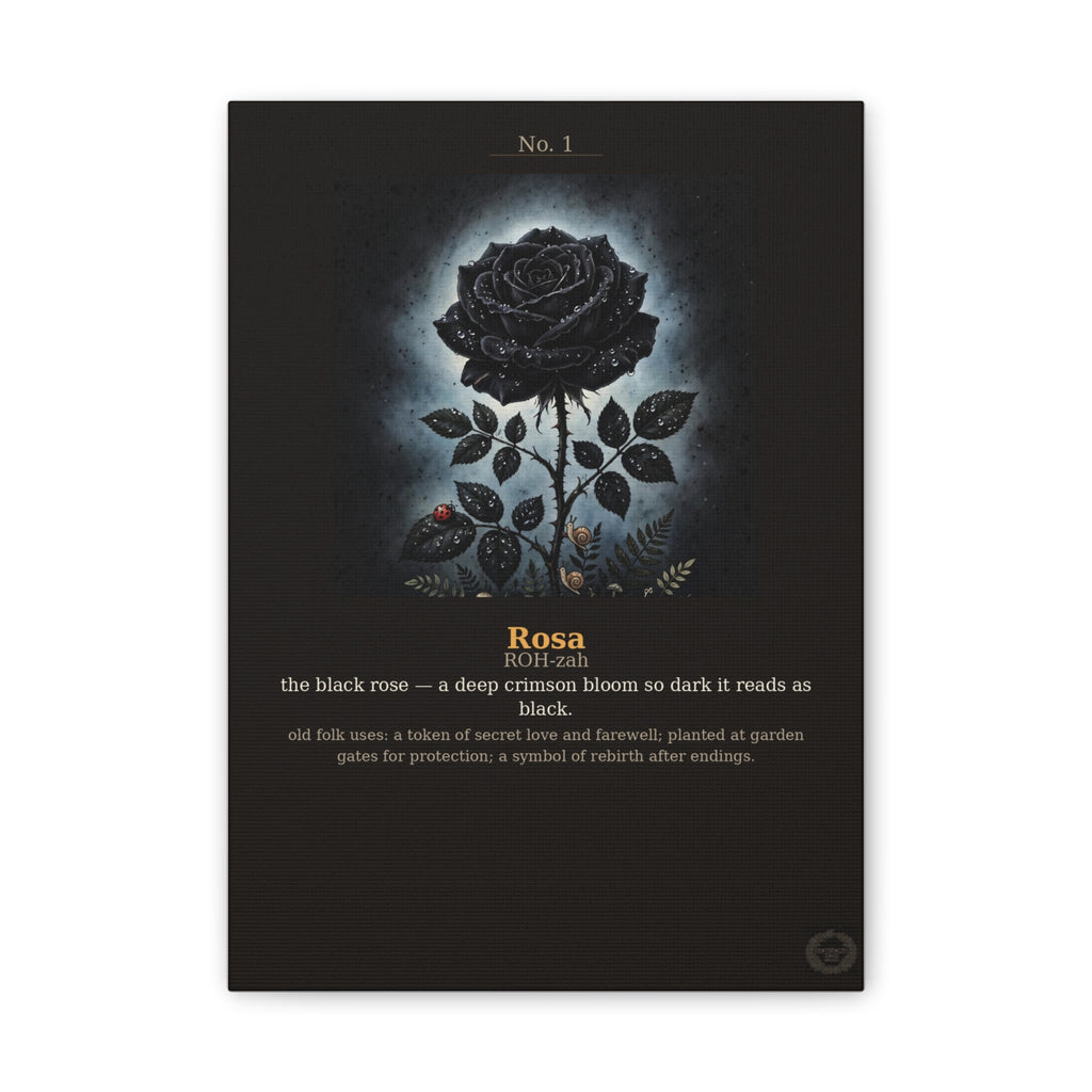 Apothecary of Thorns Canvas - Black Rose No. 1 - product photo 5
