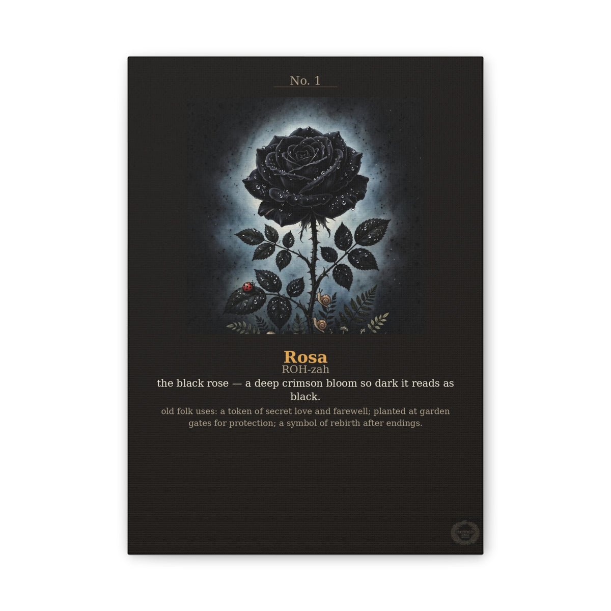 Apothecary of Thorns Canvas - Black Rose No. 1 - product photo 5