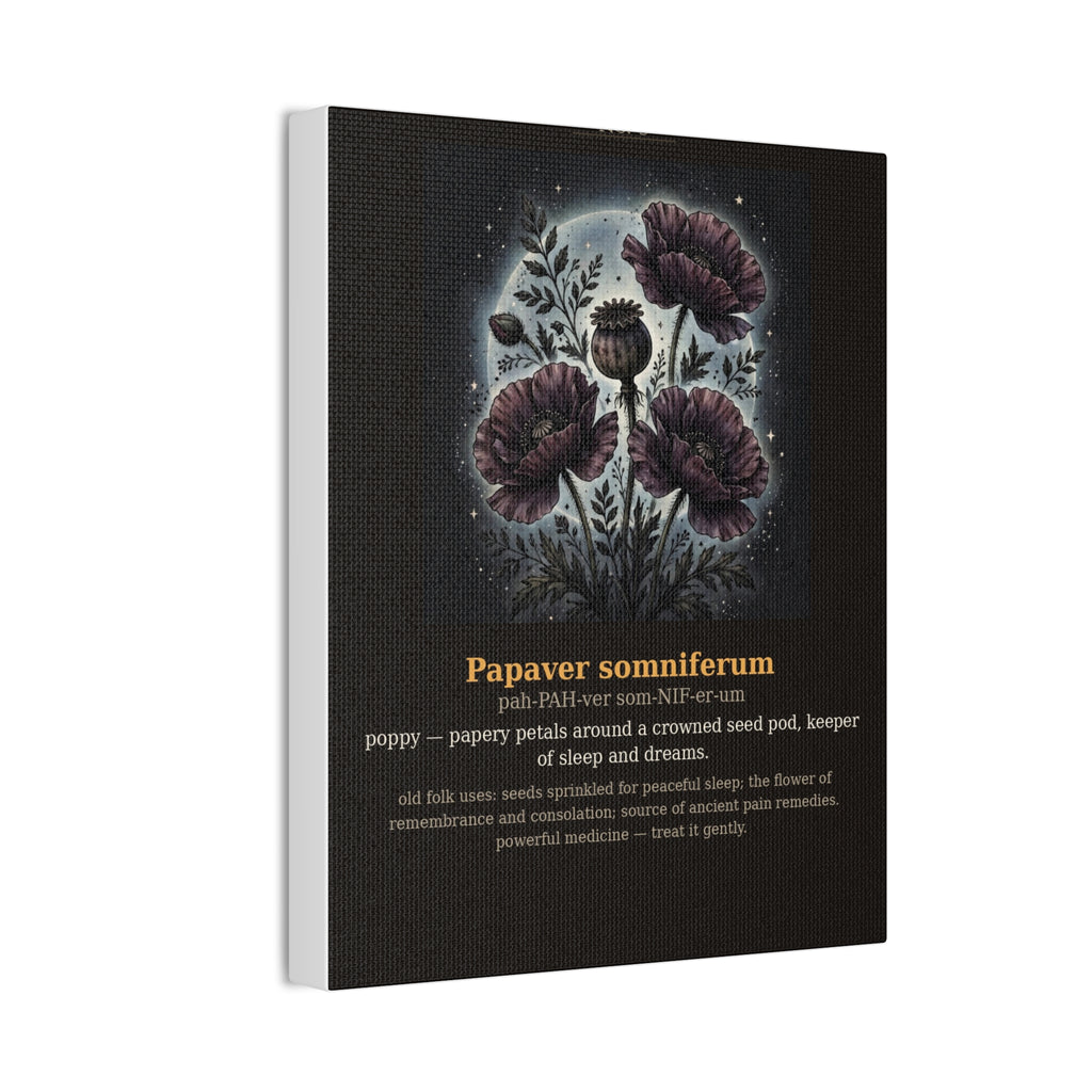 Apothecary of Thorns Canvas - Poppy No. 9 - product photo 6