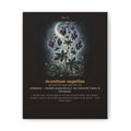 Apothecary of Thorns Canvas - Wolfsbane No. 5 - dark botanical illustration art print on canvas