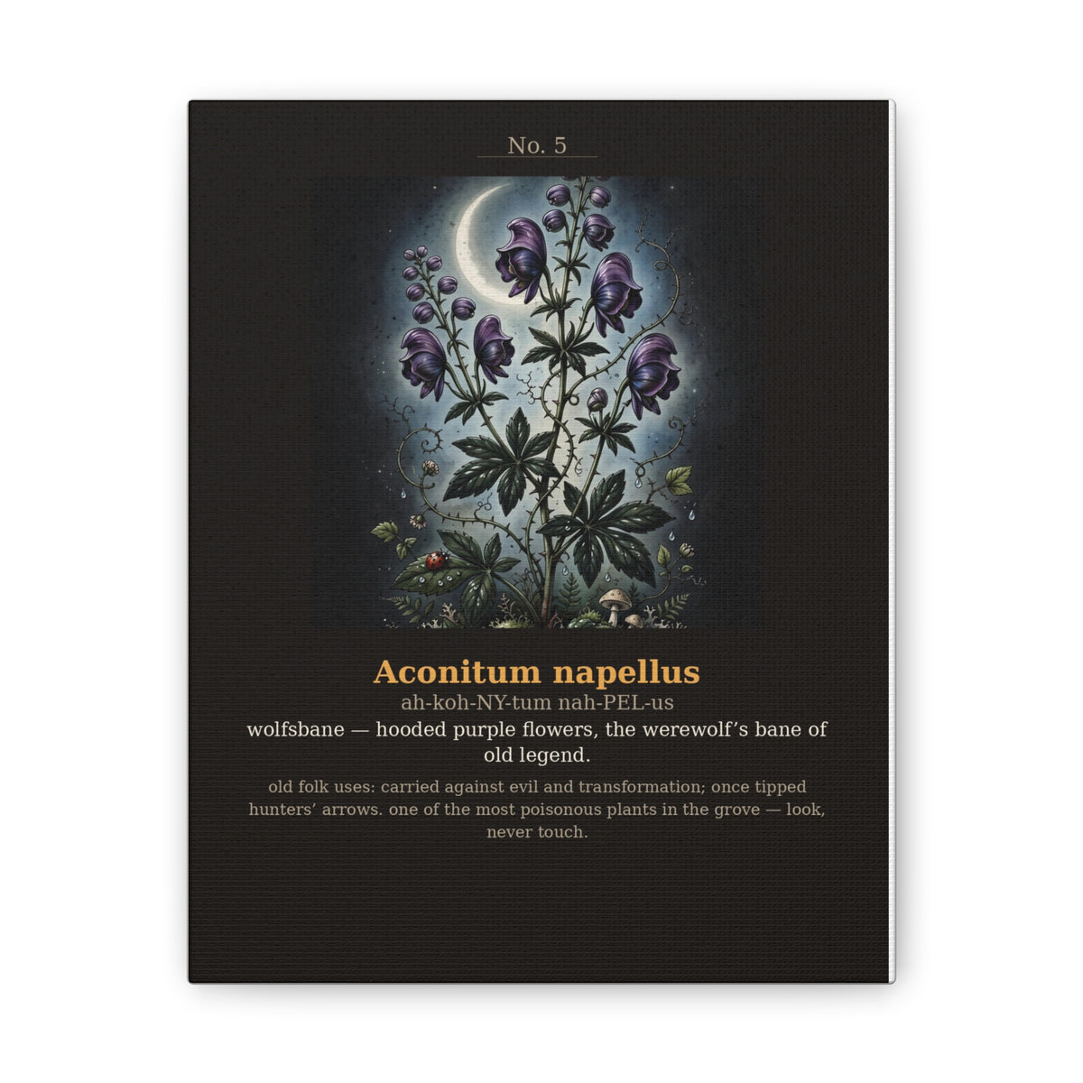 Apothecary of Thorns Canvas - Wolfsbane No. 5 - dark botanical illustration art print on canvas