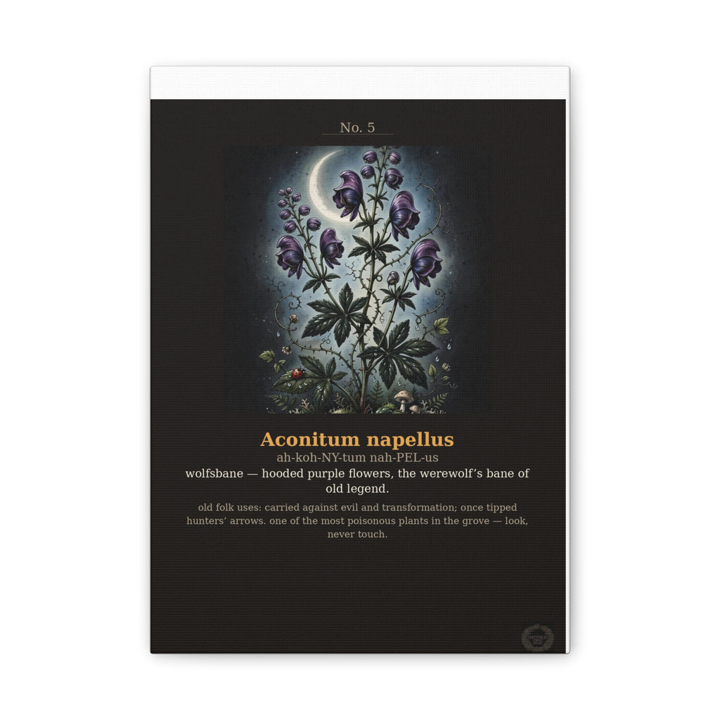 Apothecary of Thorns Canvas - Wolfsbane No. 5 - product photo 5