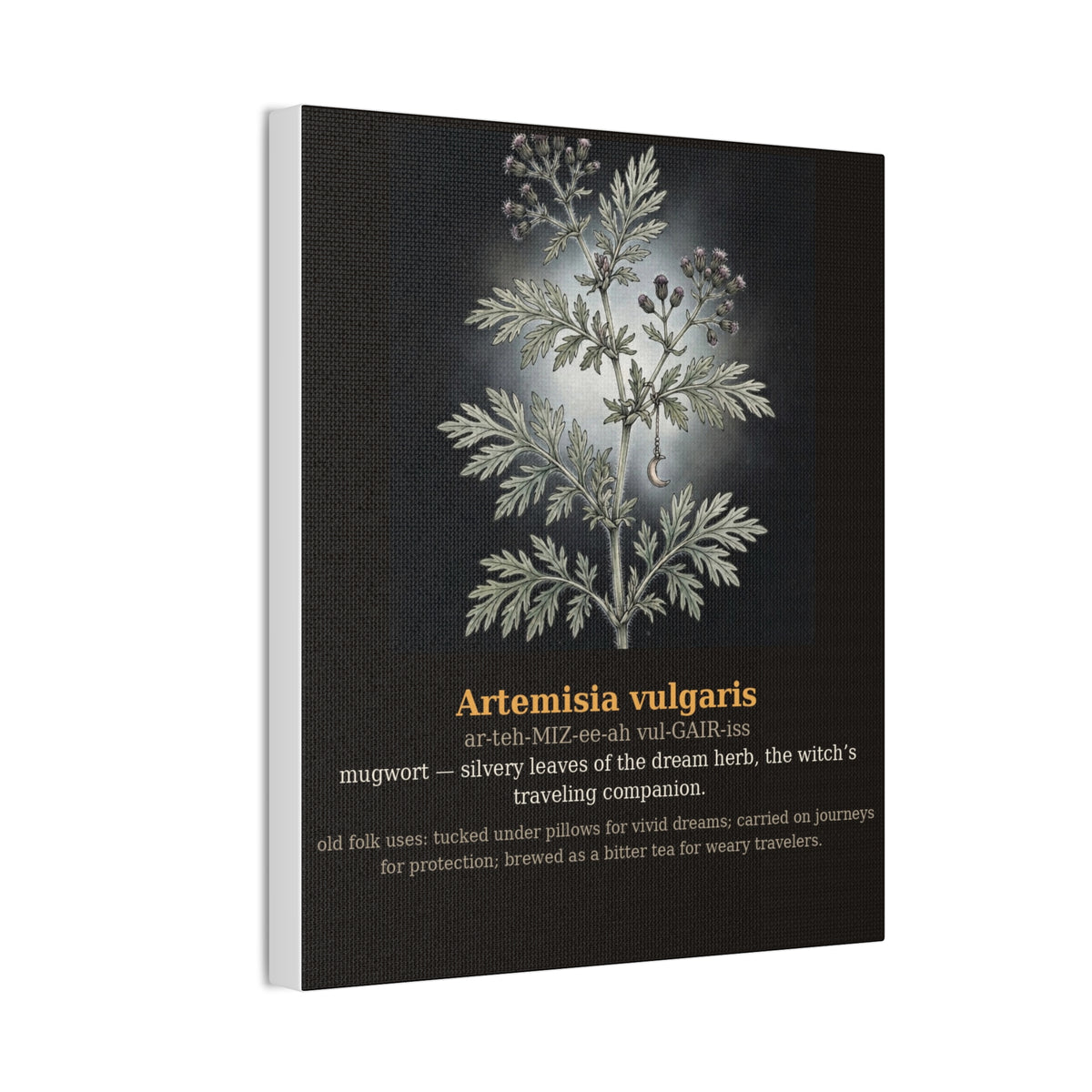 Apothecary of Thorns Canvas - Mugwort No. 7