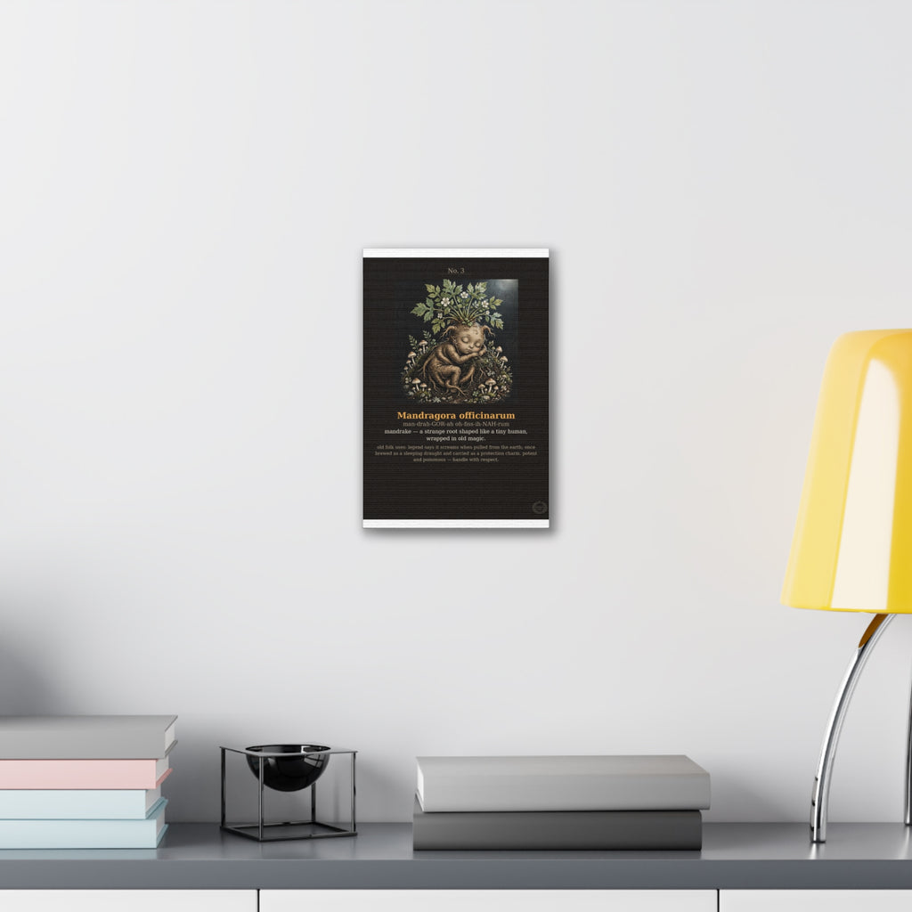 Apothecary of Thorns Canvas - Mandrake No. 3 - product photo 6