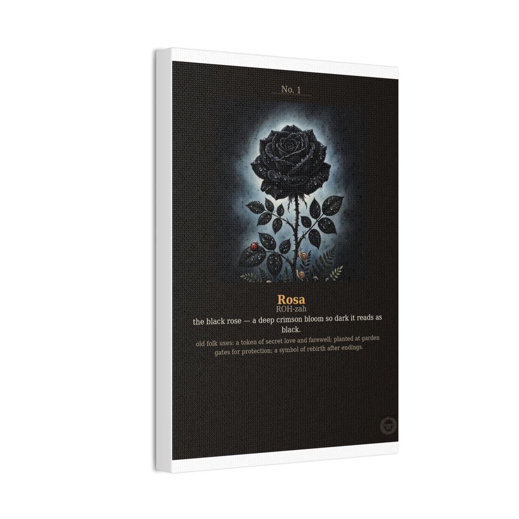 Apothecary of Thorns Canvas - Black Rose No. 1 - product photo 9
