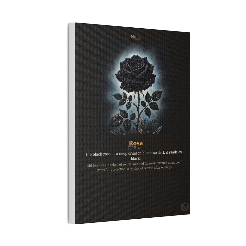 Apothecary of Thorns Canvas - Black Rose No. 1