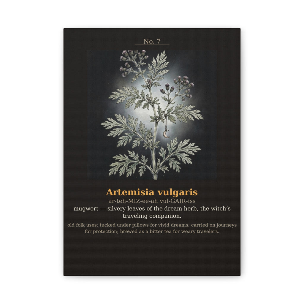 Apothecary of Thorns Canvas - Mugwort No. 7 - product photo 5