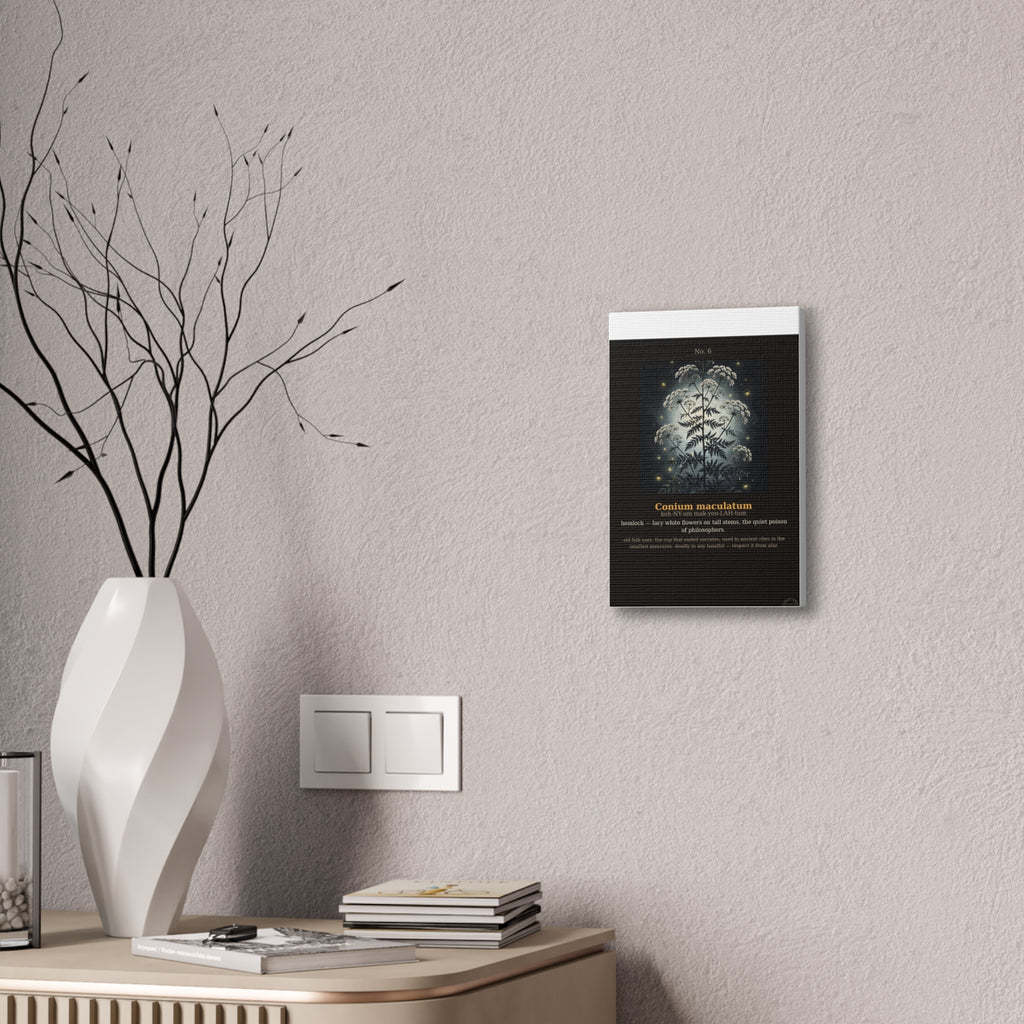 Apothecary of Thorns Canvas - Hemlock No. 6 - product photo 10