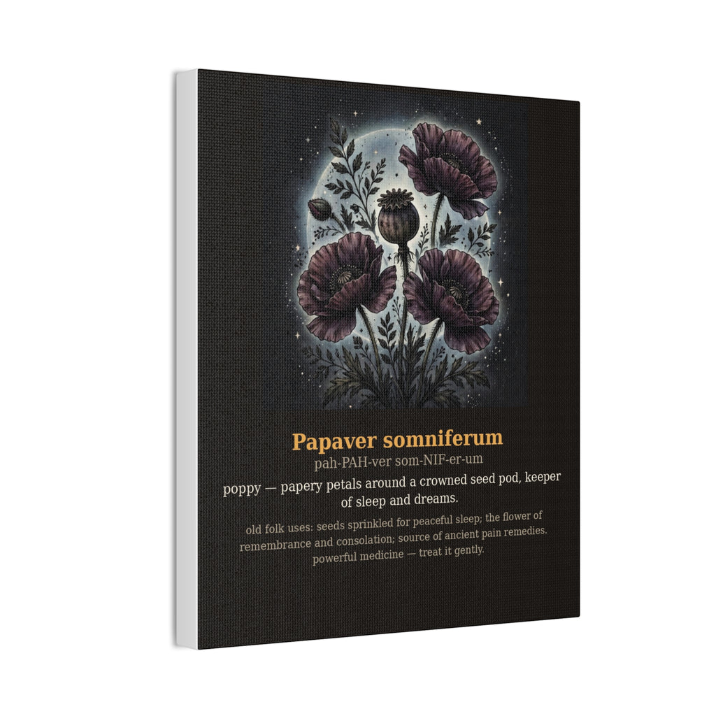 Apothecary of Thorns Canvas - Poppy No. 9