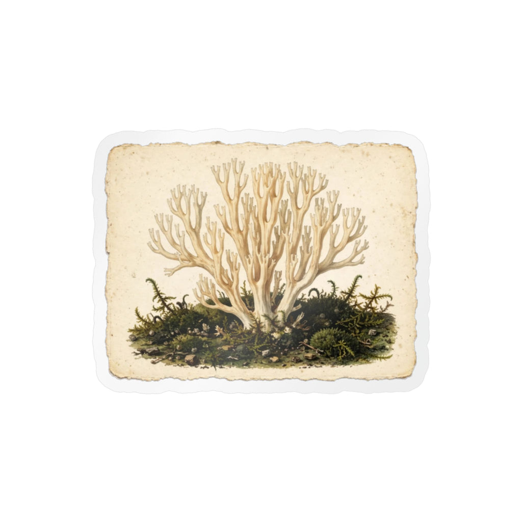 Apothecary of Thorns Herbanium Sticker - product photo 2