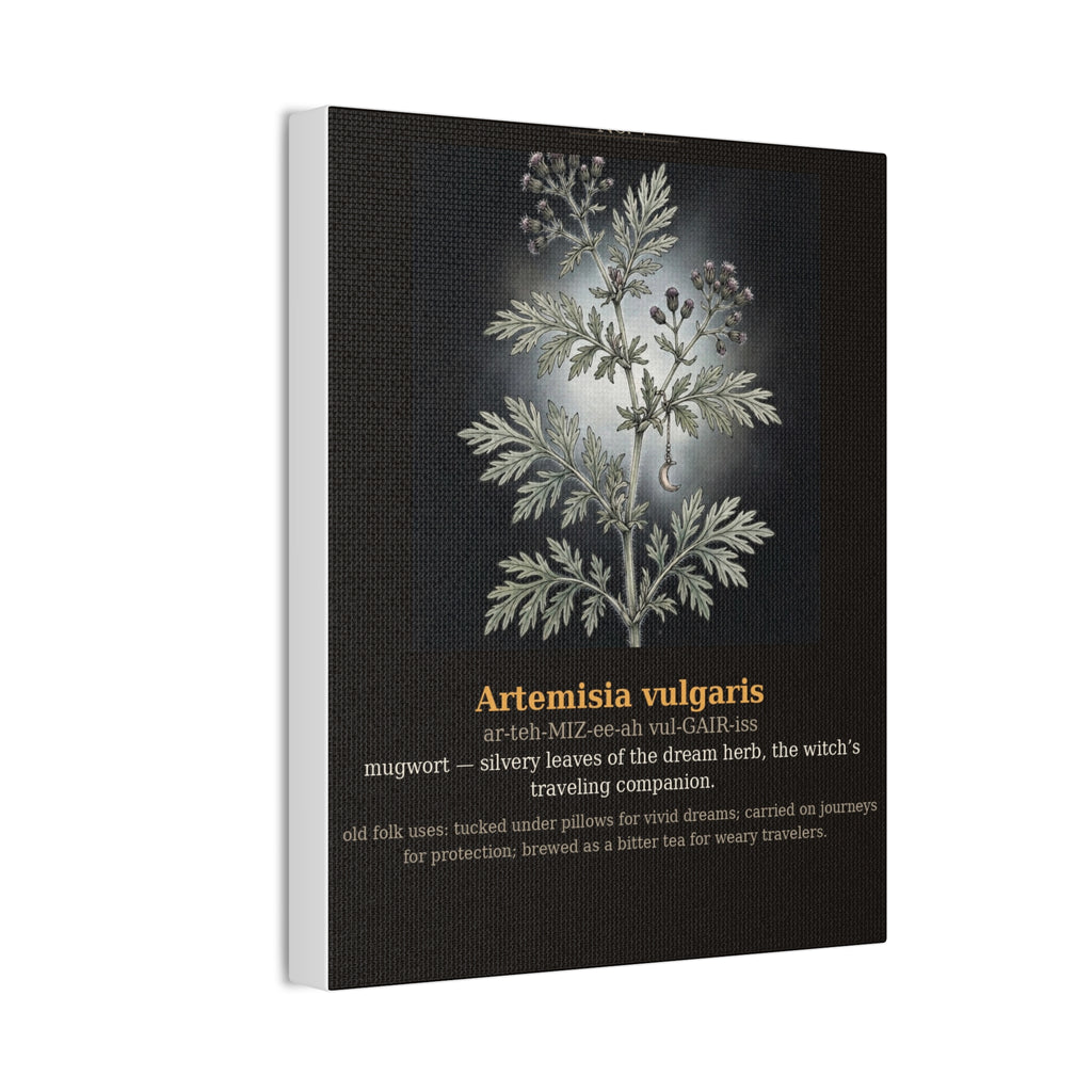 Apothecary of Thorns Canvas - Mugwort No. 7 - product photo 6
