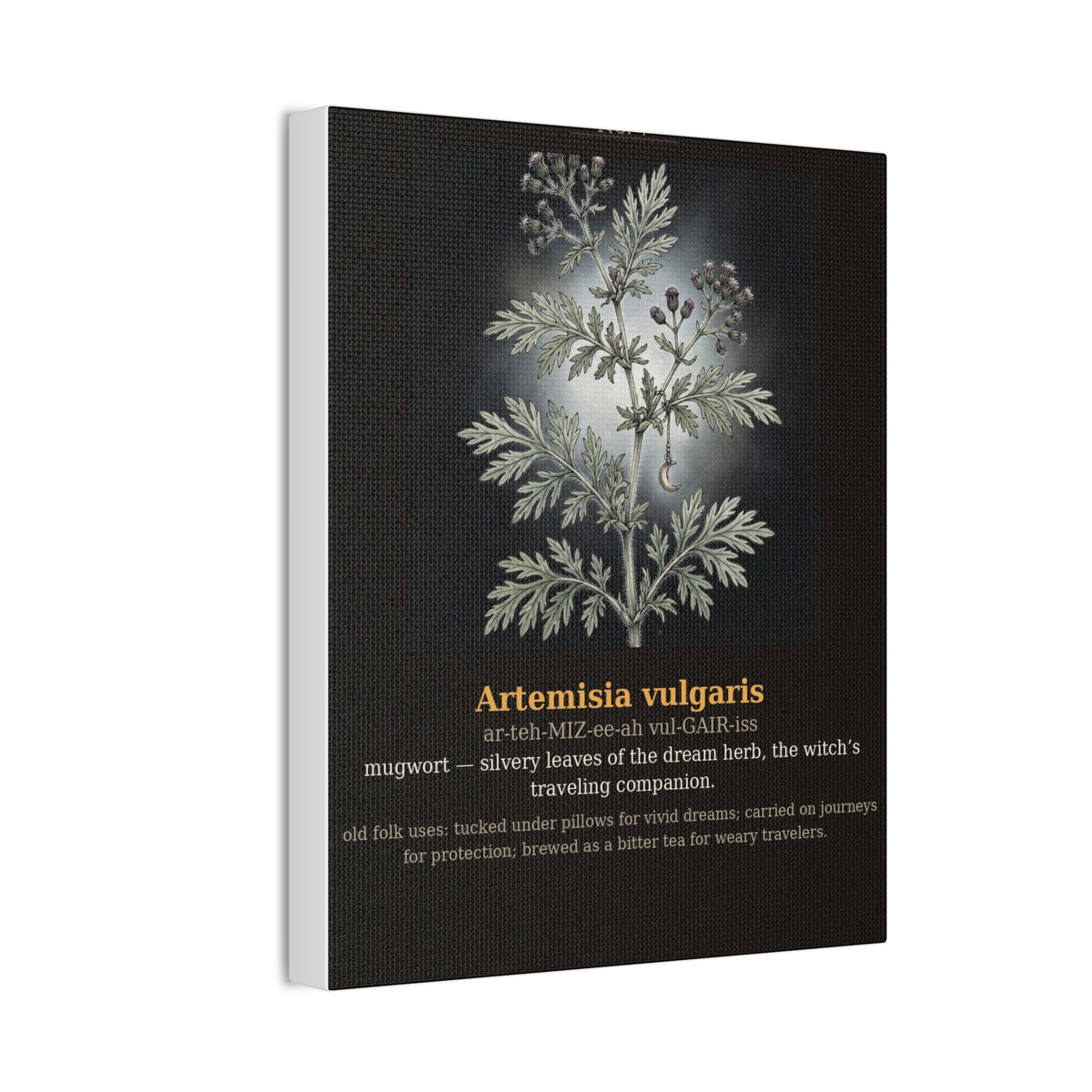 Apothecary of Thorns Canvas - Mugwort No. 7 - product photo 6